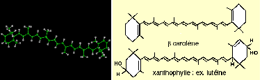 Carotene